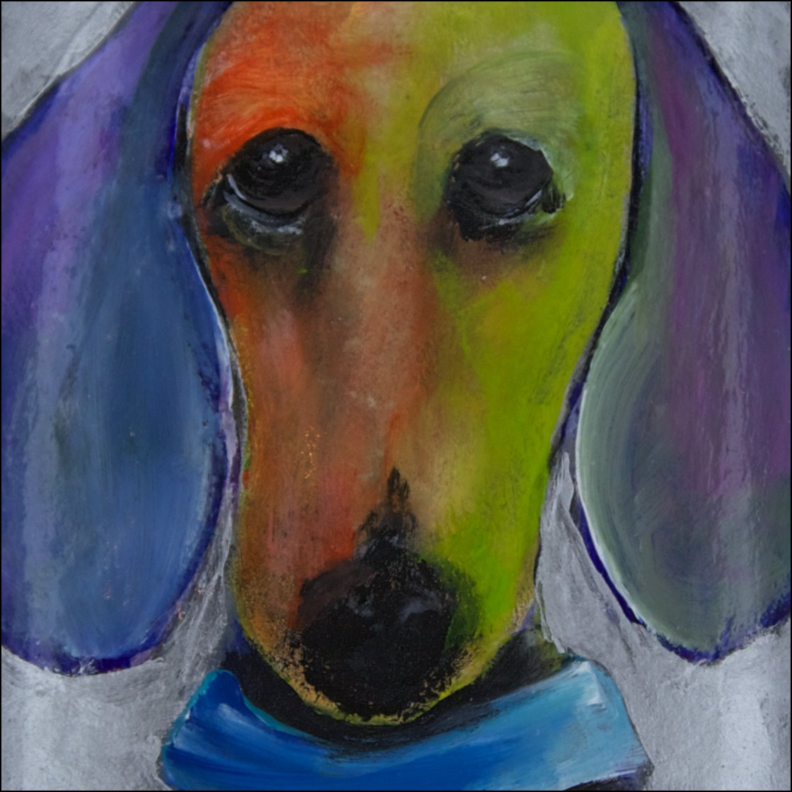 colorful dachshund
