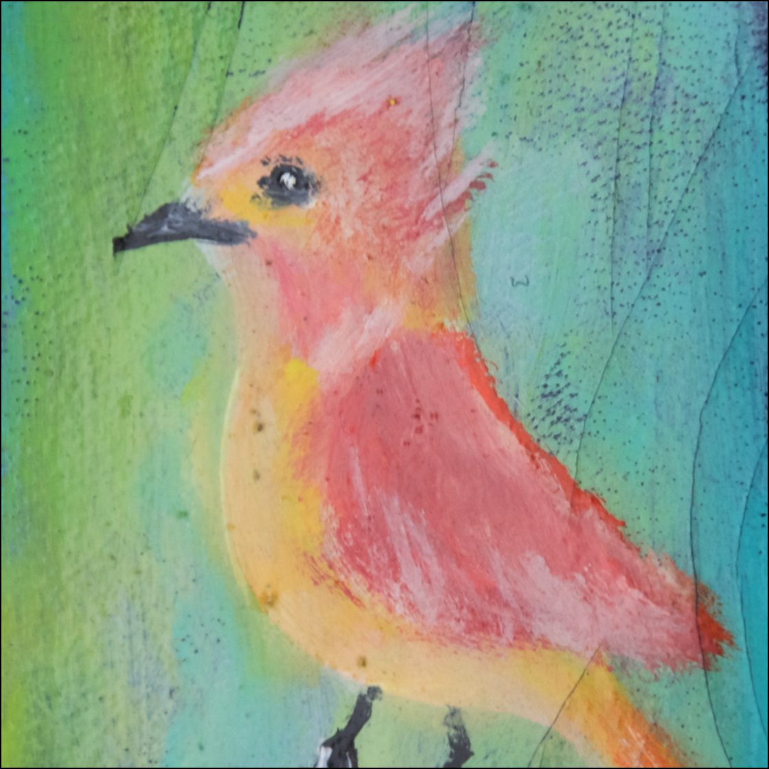 pink and yellow bird