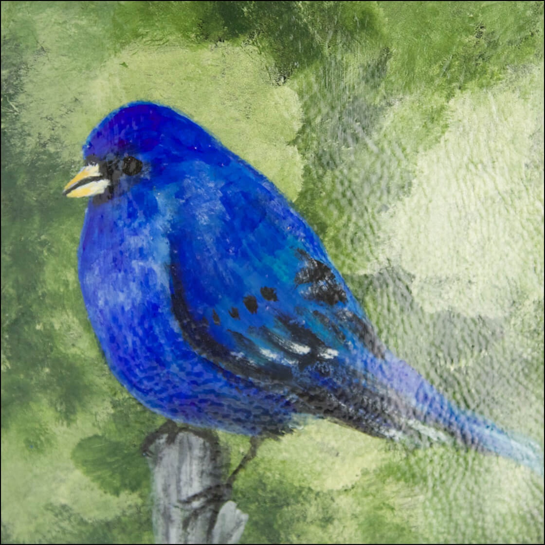 blue bird